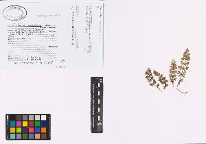 SW_BNB_s3040-01162_IMG-0000000001