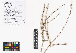 SW_BNB_s3040-01188_IMG-0000000001