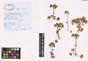 SW_BNB_s3040-01190_IMG-0000000001