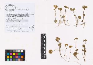 SW_BNB_s3040-01191_IMG-0000000001