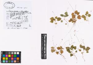 SW_BNB_s3040-01197_IMG-0000000001