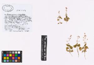SW_BNB_s3040-01198_IMG-0000000001