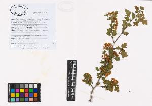 SW_BNB_s3040-01217_IMG-0000000001