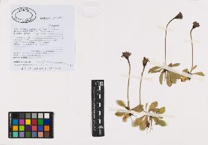 SW_BNB_s3040-01220_IMG-0000000001