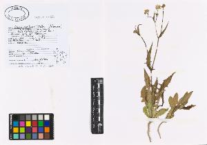 SW_BNB_s3040-01222_IMG-0000000001