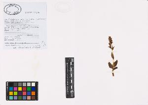 SW_BNB_s3040-01225_IMG-0000000001