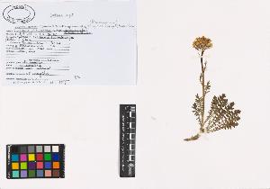 SW_BNB_s3040-01228_IMG-0000000001