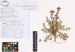 SW_BNB_s3040-01231_IMG-0000000001