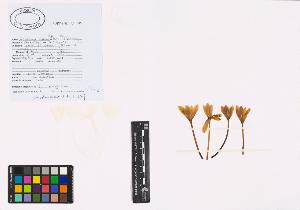 SW_BNB_s3040-01237_IMG-0000000001
