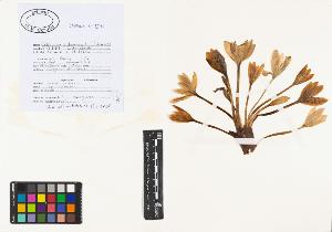 SW_BNB_s3040-01238_IMG-0000000001