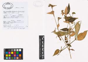 SW_BNB_s3040-01240_IMG-0000000001