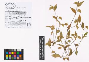 SW_BNB_s3040-01241_IMG-0000000001