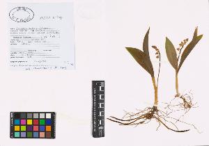 SW_BNB_s3040-01246_IMG-0000000001