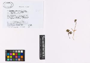 SW_BNB_s3040-01266_IMG-0000000001