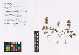 SW_BNB_s3040-01271_IMG-0000000001