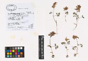 SW_BNB_s3040-01272_IMG-0000000001