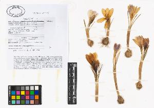 SW_BNB_s3040-01294_IMG-0000000001