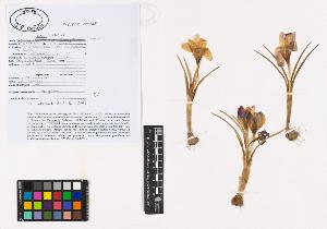 SW_BNB_s3040-01295_IMG-0000000001