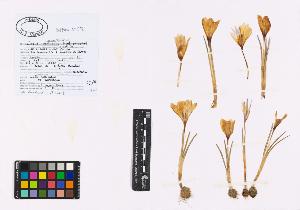 SW_BNB_s3040-01299_IMG-0000000001