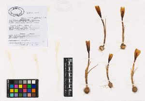 SW_BNB_s3040-01304_IMG-0000000001