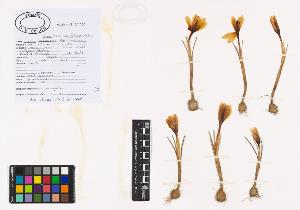 SW_BNB_s3040-01305_IMG-0000000001
