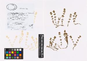 SW_BNB_s3040-01308_IMG-0000000001