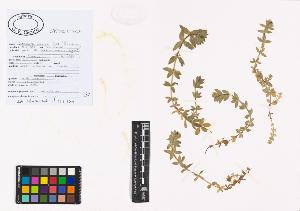 SW_BNB_s3040-01311_IMG-0000000001