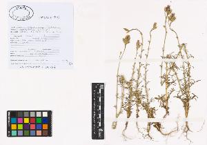 SW_BNB_s3040-01315_IMG-0000000001