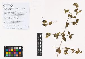SW_BNB_s3040-01319_IMG-0000000001