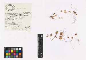 SW_BNB_s3040-01322_IMG-0000000001
