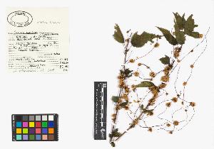 SW_BNB_s3040-01329_IMG-0000000001