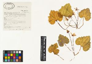 SW_BNB_s3040-01340_IMG-0000000001