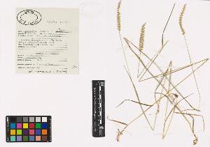 SW_BNB_s3040-01345_IMG-0000000001