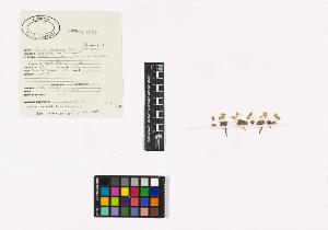SW_BNB_s3040-01373_IMG-0000000001