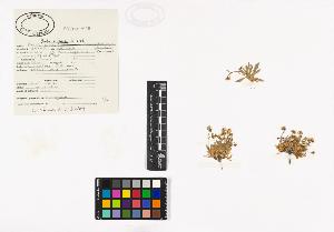 SW_BNB_s3040-01374_IMG-0000000001