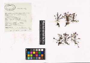 SW_BNB_s3040-01378_IMG-0000000001