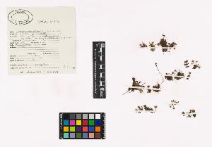 SW_BNB_s3040-01379_IMG-0000000001