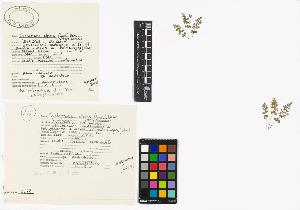 SW_BNB_s3040-01391_IMG-0000000001