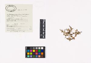 SW_BNB_s3040-01622_IMG-0000000001