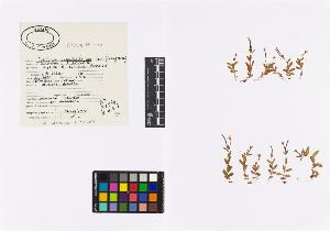SW_BNB_s3040-01623_IMG-0000000001