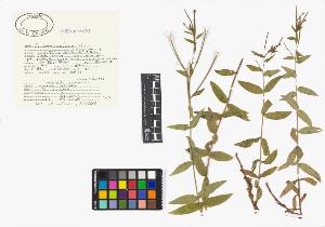 SW_BNB_s3040-01658_IMG-0000000001
