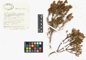 SW_BNB_s3040-01706_IMG-0000000001