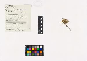 SW_BNB_s3040-01735_IMG-0000000001