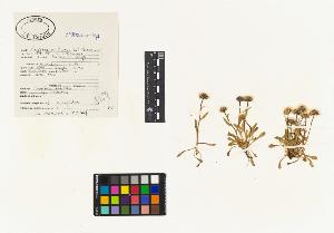 SW_BNB_s3040-01737_IMG-0000000001