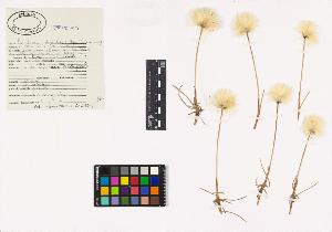 SW_BNB_s3040-01751_IMG-0000000001
