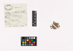 SW_BNB_s3040-01763_IMG-0000000001