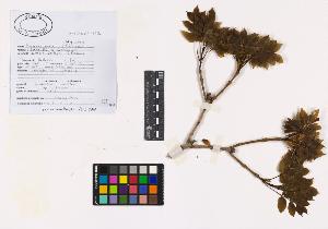 SW_BNB_s3040-01776_IMG-0000000001