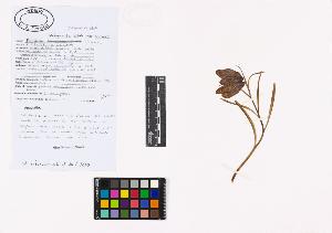 SW_BNB_s3040-01778_IMG-0000000001