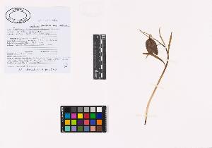 SW_BNB_s3040-01779_IMG-0000000001