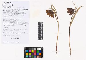 SW_BNB_s3040-01781_IMG-0000000001
